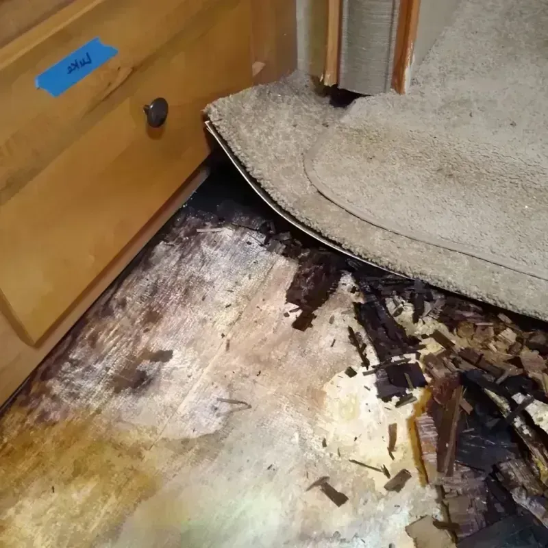 Wood Floor Water Damage in Wilmington, IL